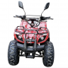 Детский электроквадроцикл GreenCamel Атакама T320 1000W R8 20Ah
