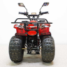Детский электроквадроцикл GreenCamel Атакама T120 800W R8 42Ah