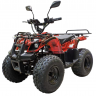 Детский электроквадроцикл GreenCamel Атакама T120 800W R8 42Ah