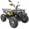 Квадроцикл GreenCamel Сахара AWD 4x4 (60V52Ah 2x2kW R10 alum)