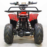 Квадроцикл GreenCamel Гоби K70 (36V 800W R7 Дифф) быстросъем