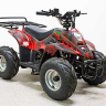 Квадроцикл GreenCamel Гоби K70 (36V 800W R7 Дифф) быстросъем
