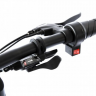 Электровелосипед ELBIKE GANGSTAR Elite (C23)