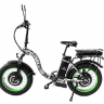 Электровелосипед Elbike TAIGA 1 Twix 2000 cam(C31T)