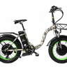 Электровелосипед Elbike TAIGA 1 Twix cam (C45)