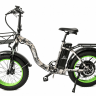 Электровелосипед Elbike TAIGA 1 ELITE cam (C44)