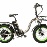 Электровелосипед Elbike TAIGA 1 ELITE cam (C44)