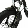 Электровелосипед Elbike TAIGA 1 St (C30)