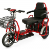 Электротрицикл Elbike Адъютант Double (a3)