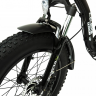 Электровелосипед Elbike TAIGA 1 Twix (C45)
