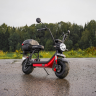 Электроскутер WHITE SIBERIA MINI R 2.0 1200W RED
