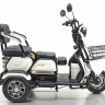 Электротрицикл GreenCamel Фродо X7 500W R8