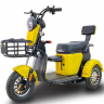 Электротрицикл GreenCamel Фродо Q2 500W