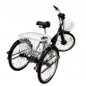 Электровелосипед GreenCamel Трайк-24 V2 (R24 250W 48V12Ah)