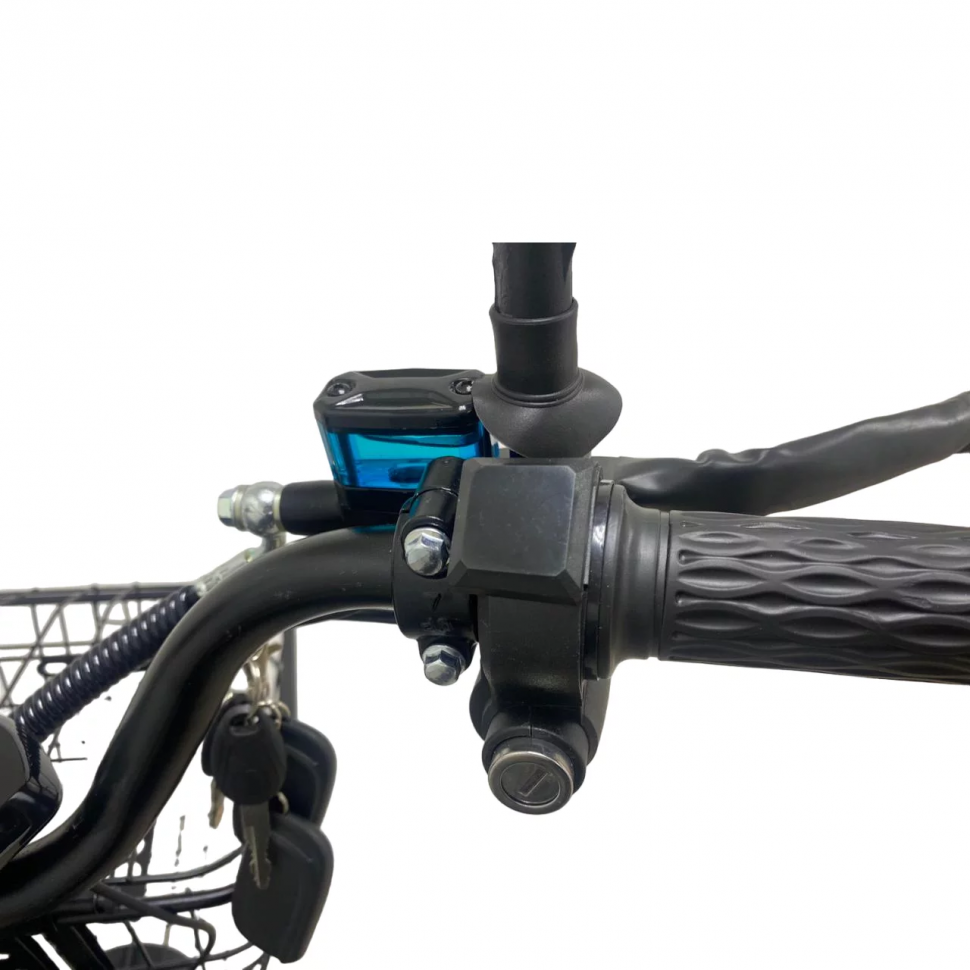 Электровелосипед Zaxboard Godzila Winter Pro Aqua 21AH 1620W